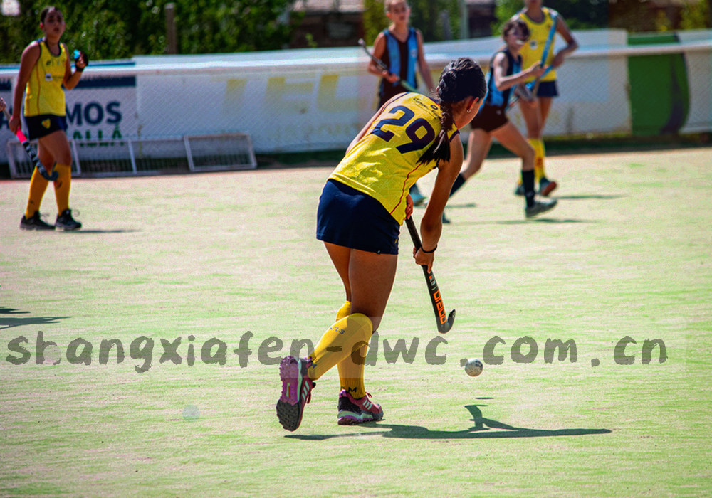三档练新手局的屏幕界面并排展示，等宽数字呈现各档投入形式